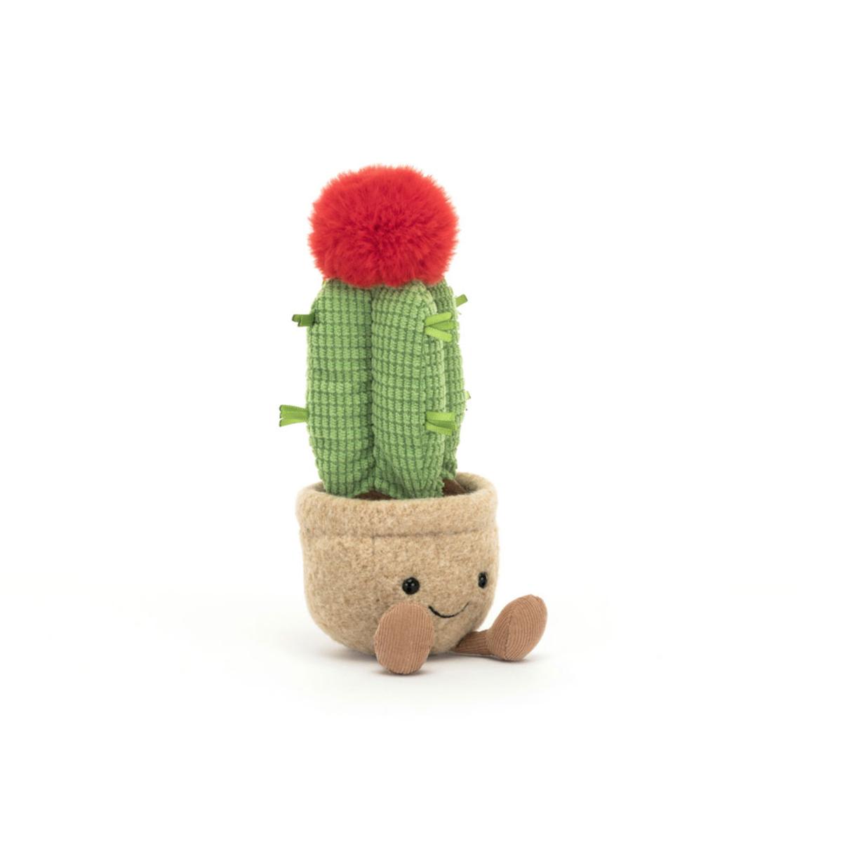 Amuseables Plants & Woodland | Amuseables Moon Cactus Amuseables Amuseables Plants & Woodland