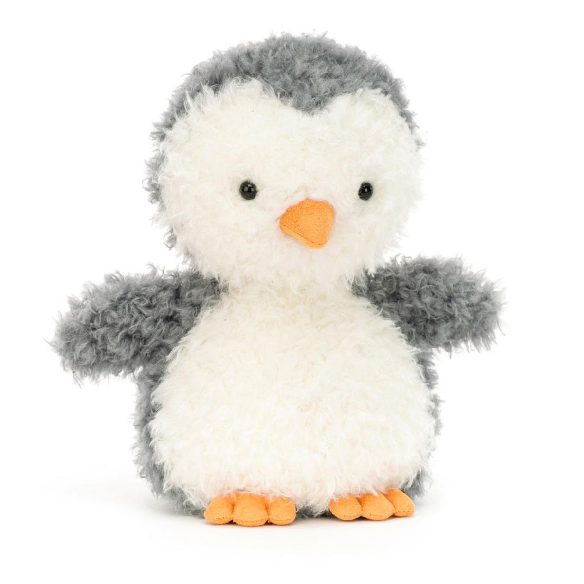 Arctic & Antarctic | Little Penguin Animals Arctic & Antarctic