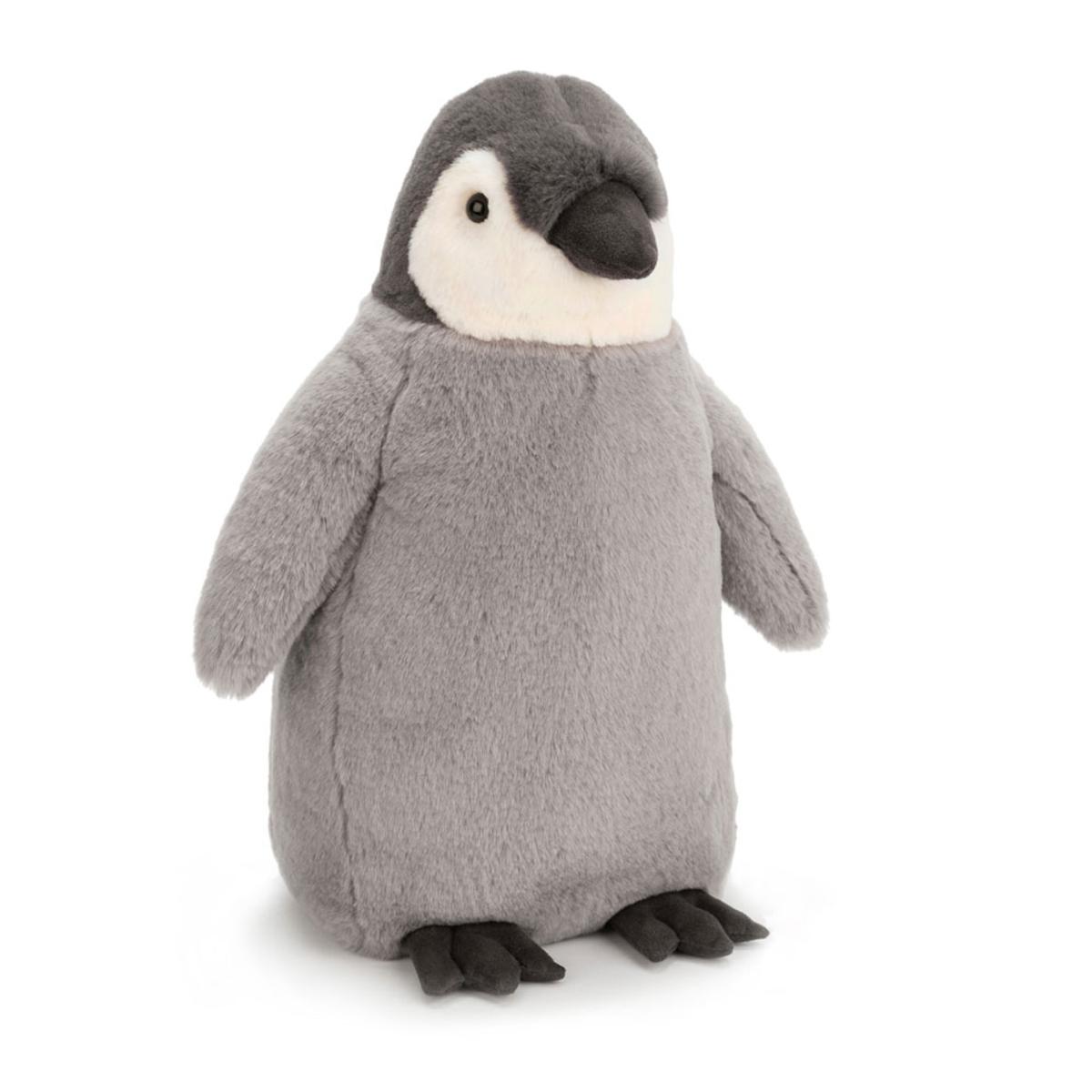 Arctic & Antarctic | Percy Penguin Animals Arctic & Antarctic