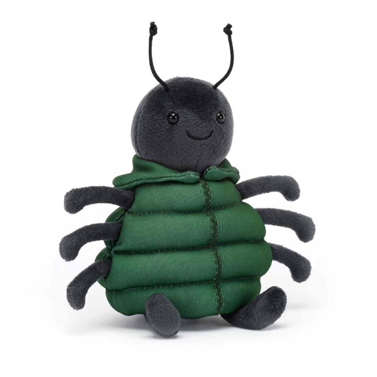 Bugs & Insects | Anoraknid Black Spider Animals Bugs & Insects