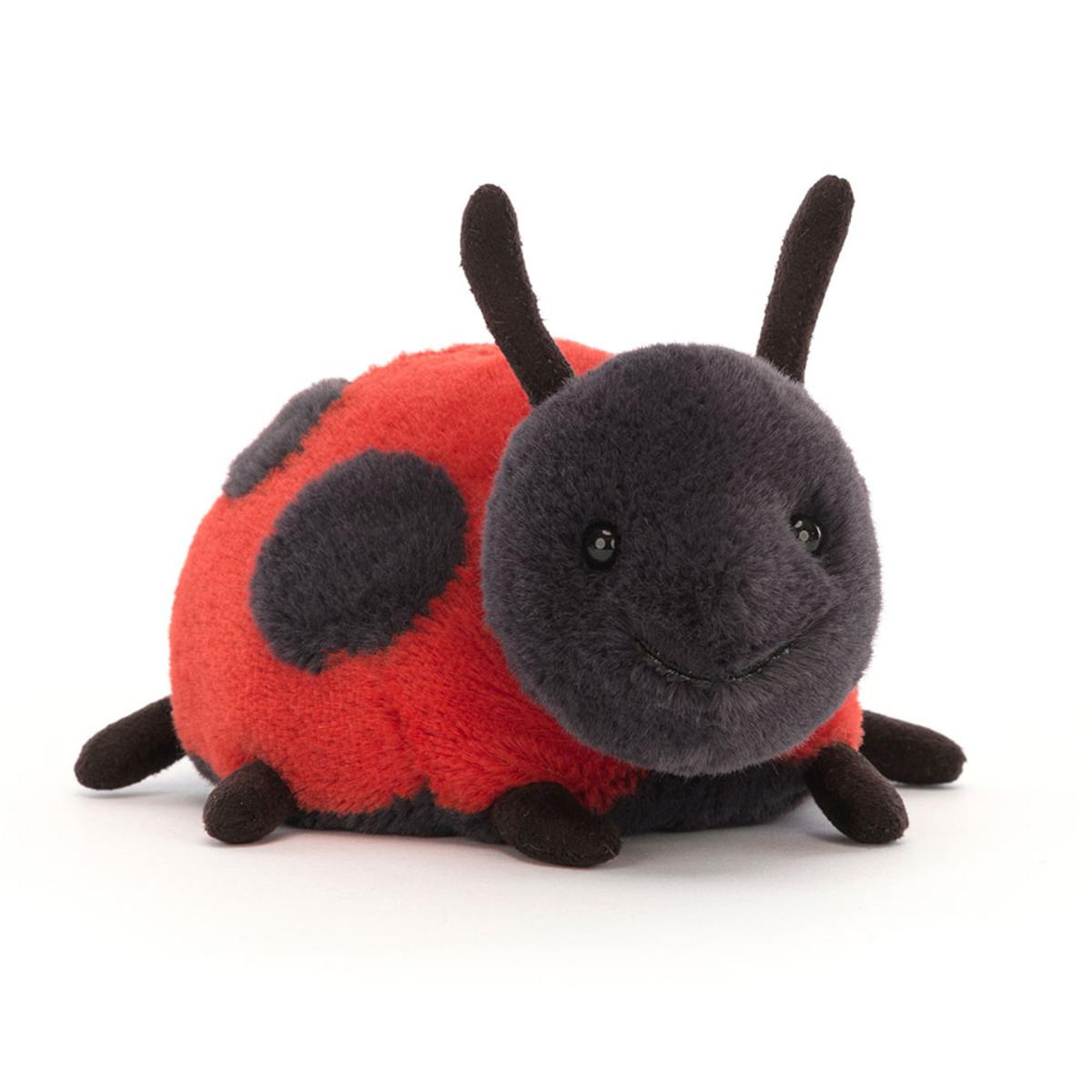 Bugs & Insects | Layla Ladybird Animals Bugs & Insects