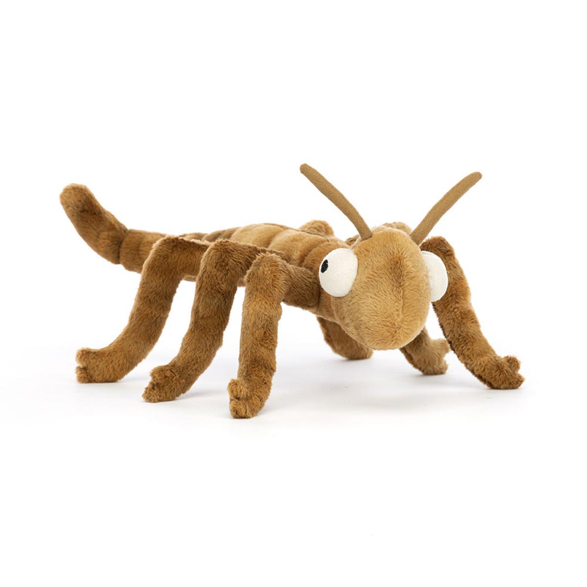 Bugs & Insects | Stanley Stick Insect Animals Bugs & Insects