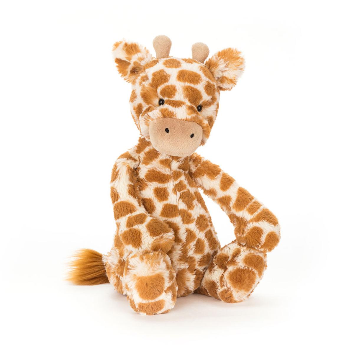 Jungle & Safari | Bashful Giraffe Animals Jungle & Safari