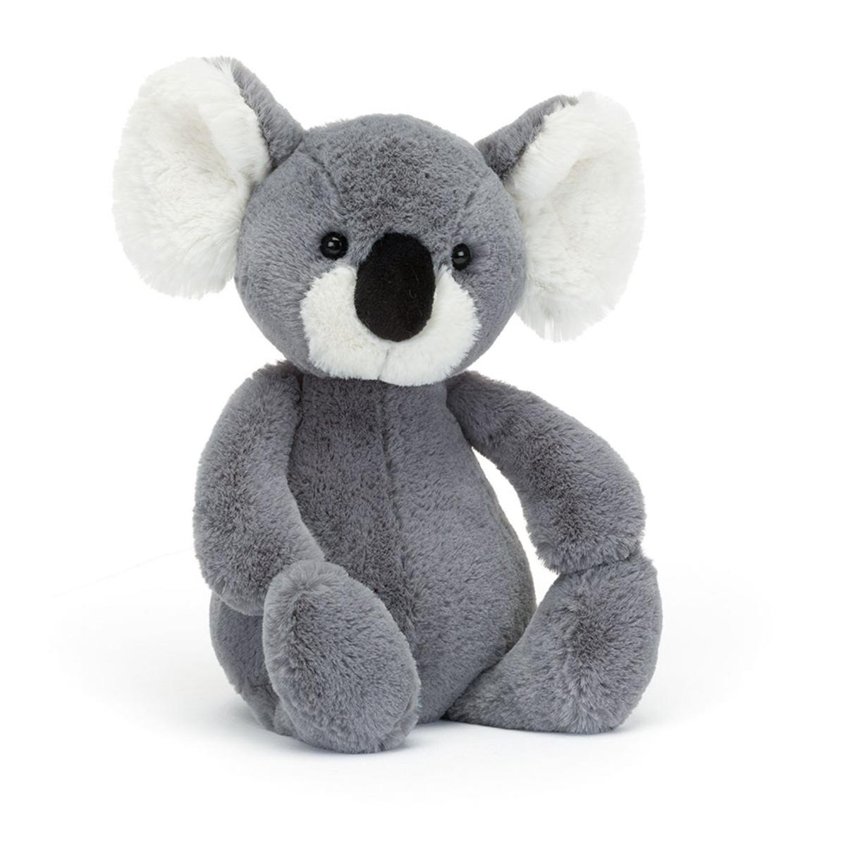 Jungle & Safari | Bashful Koala Animals Jungle & Safari