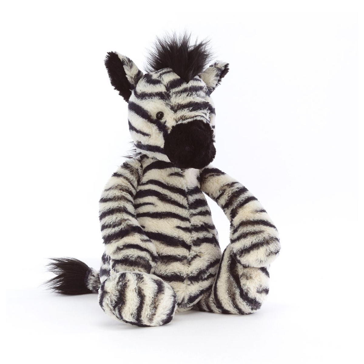 Jungle & Safari | Bashful Zebra Animals Jungle & Safari