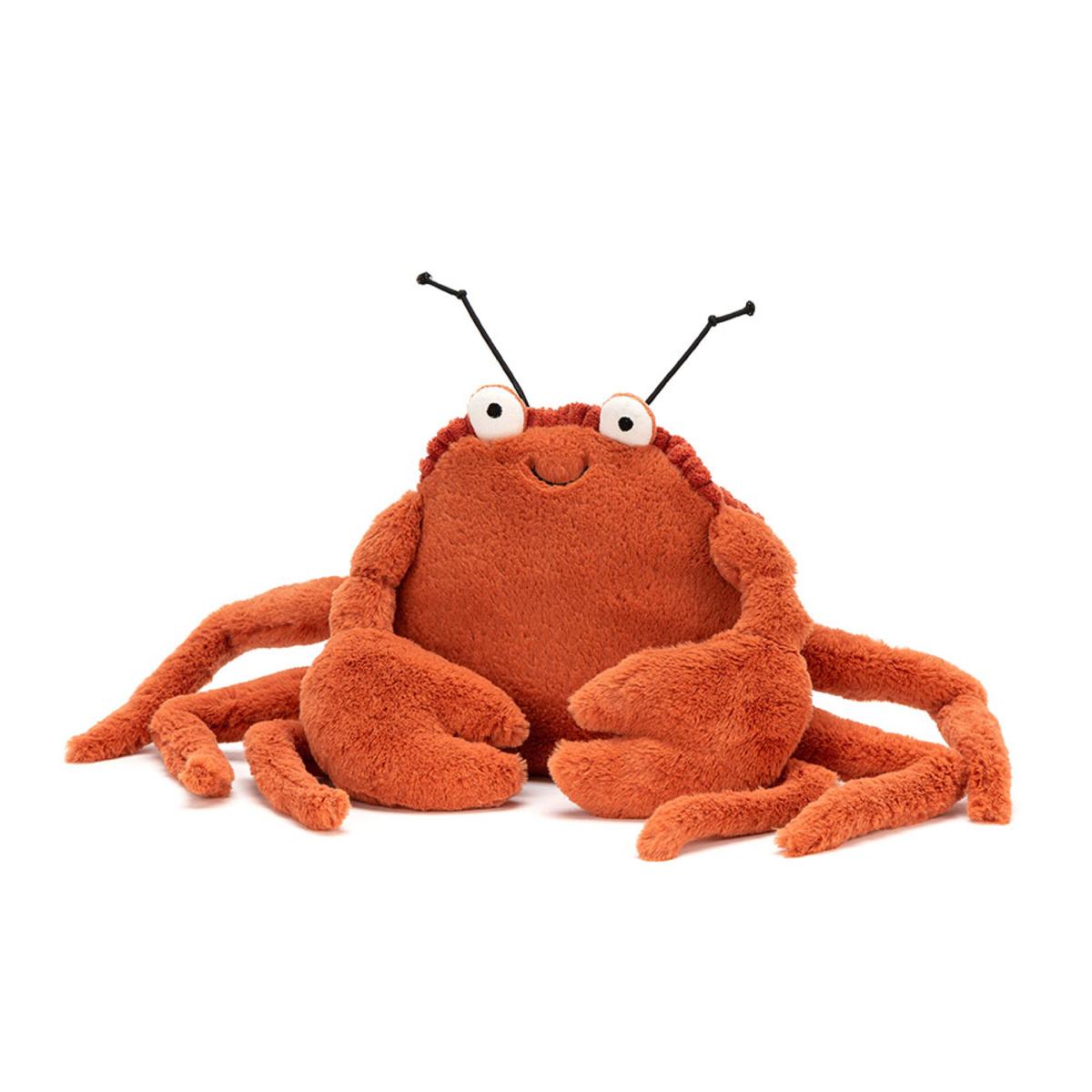 Ocean | Crispin Crab Animals Ocean