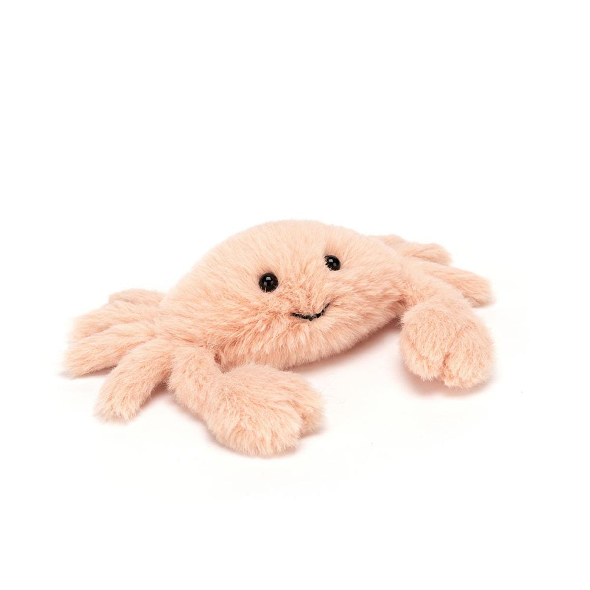 Ocean | Fluffy Crab Animals Ocean