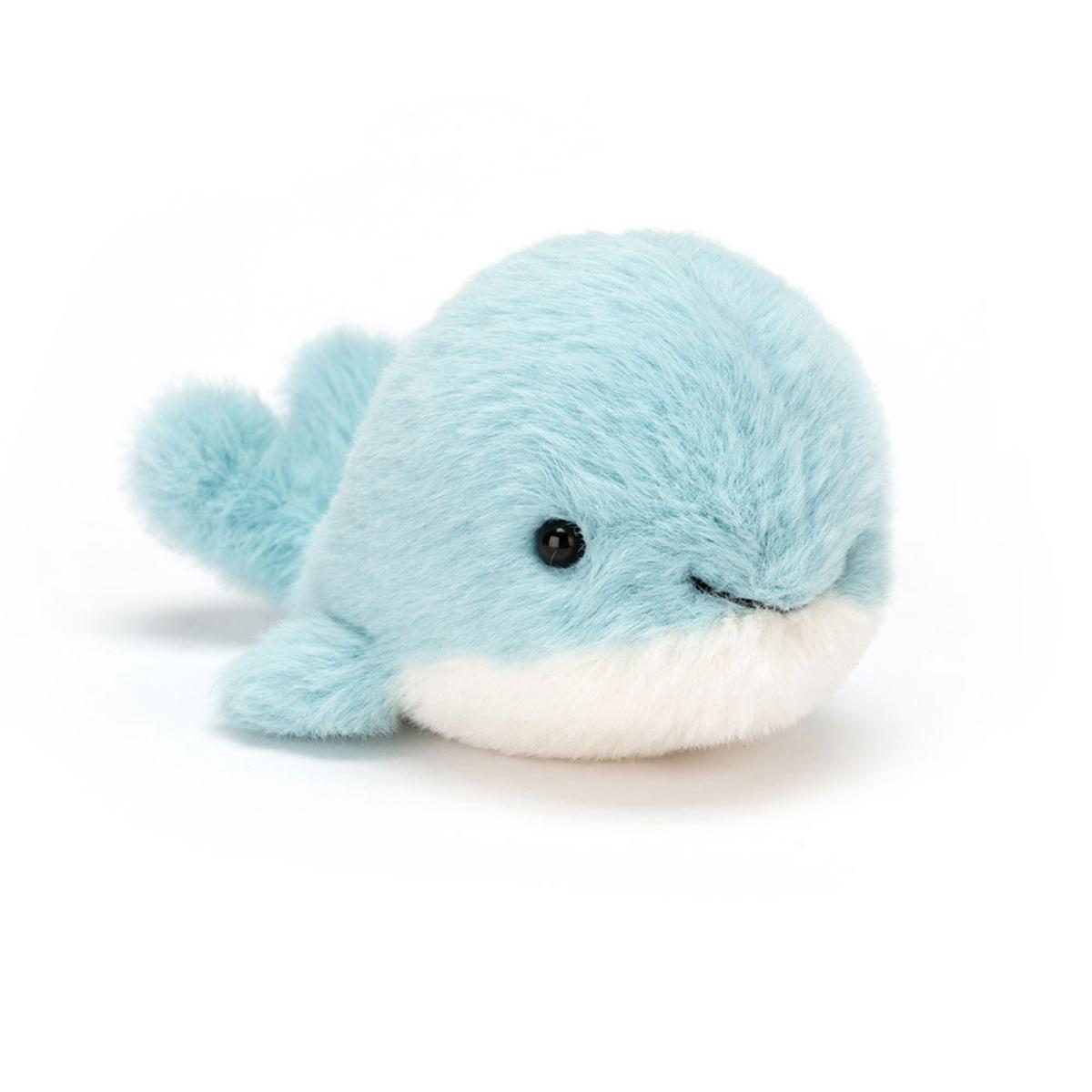 Ocean | Fluffy Whale Animals Ocean