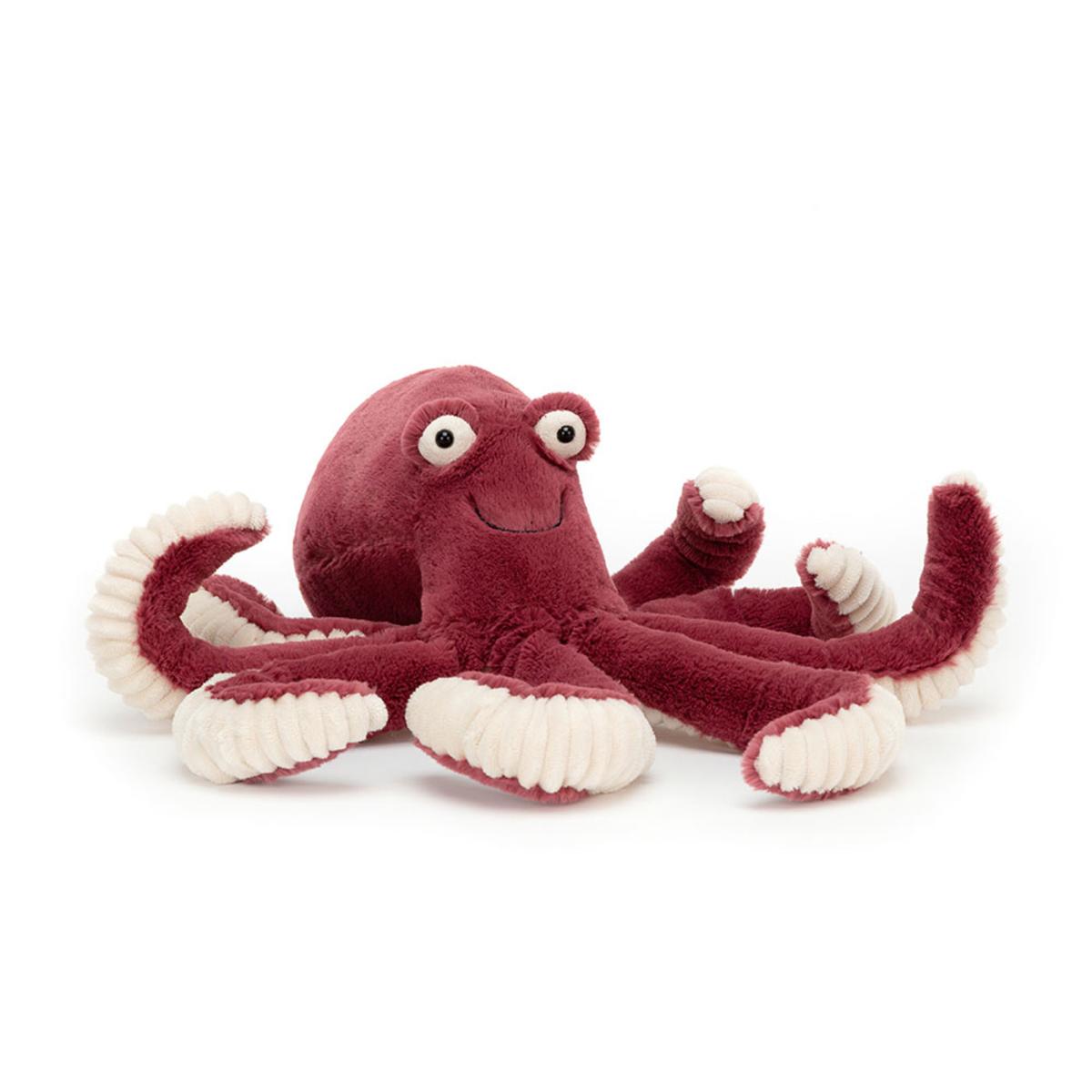 Ocean | Obbie Octopus Animals Ocean