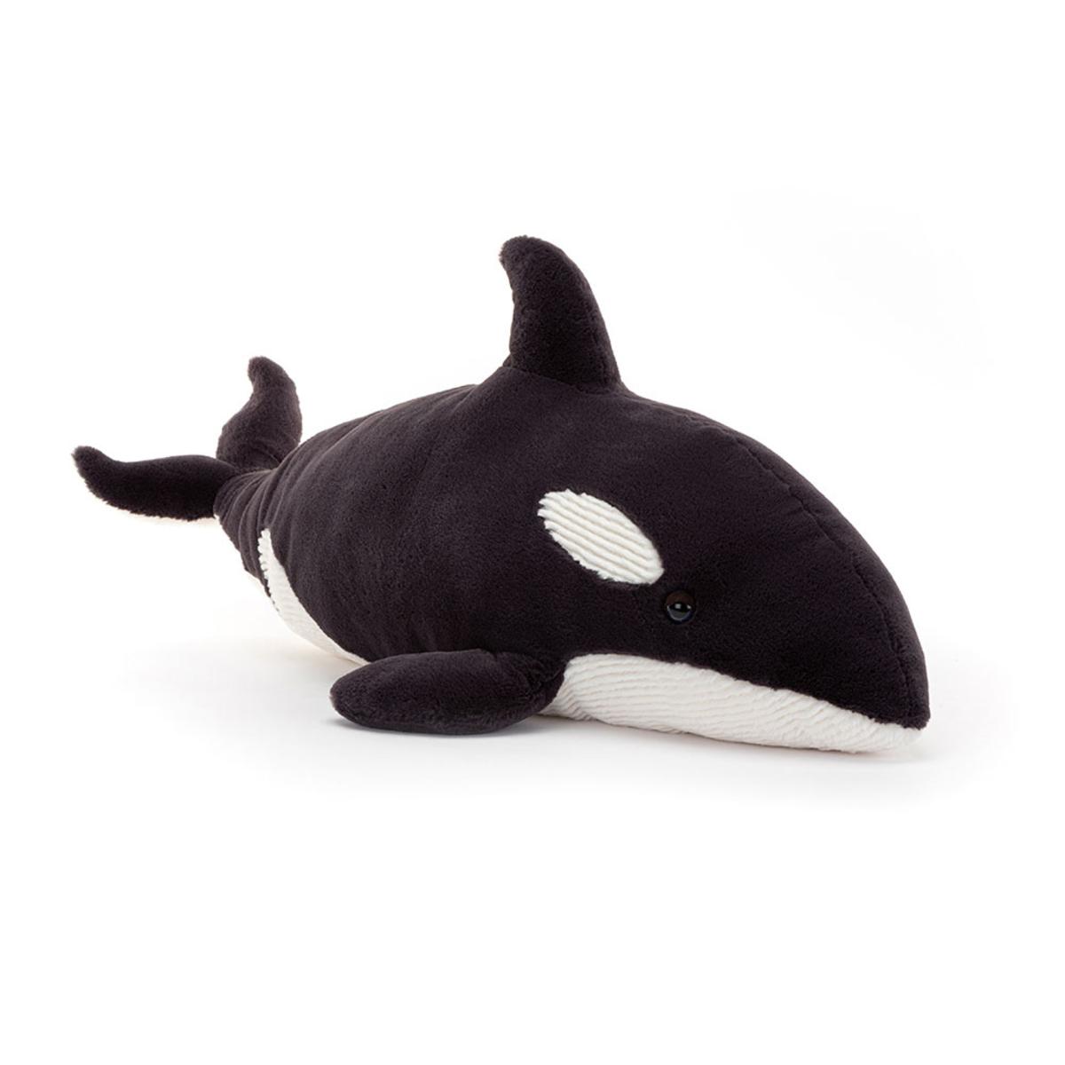 Ocean | Ollivander the Orca Animals Ocean