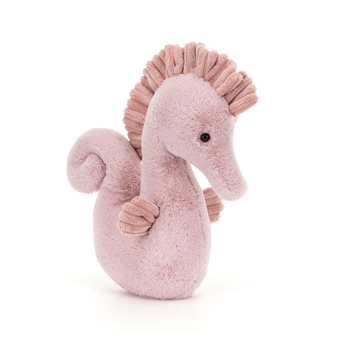 Ocean | Sienna Seahorse Animals Ocean