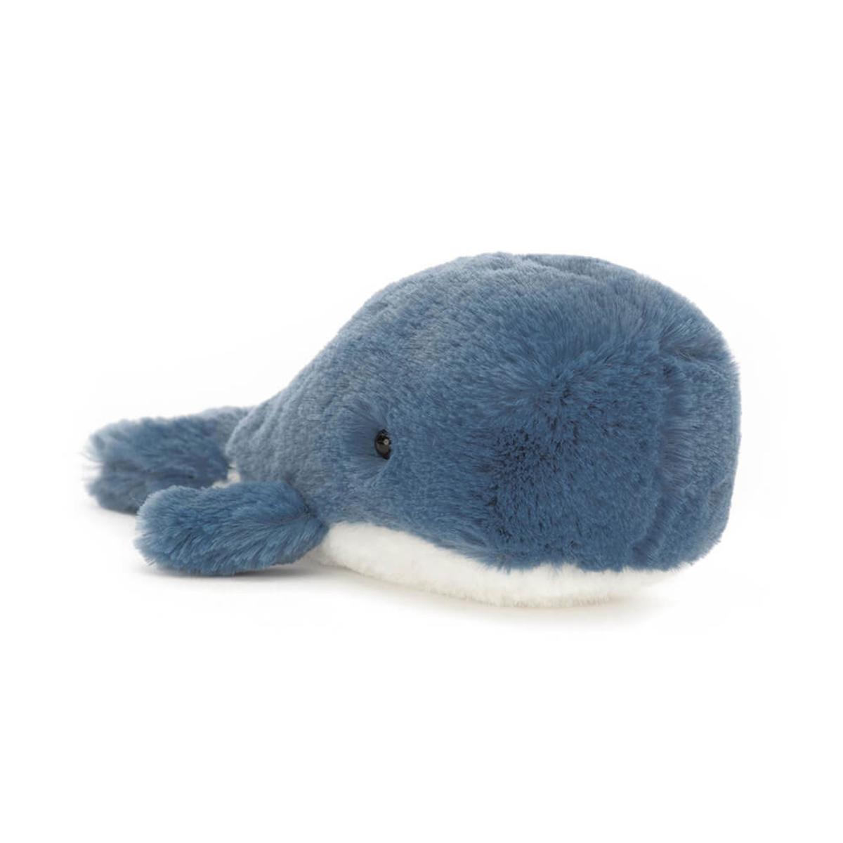 Ocean | Wavelly Whale Animals Ocean