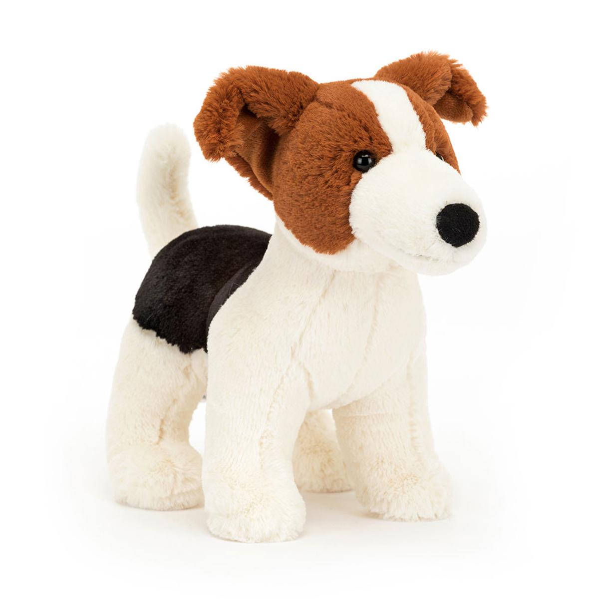 Pets | Albert Jack Russell Animals Dogs & Puppies