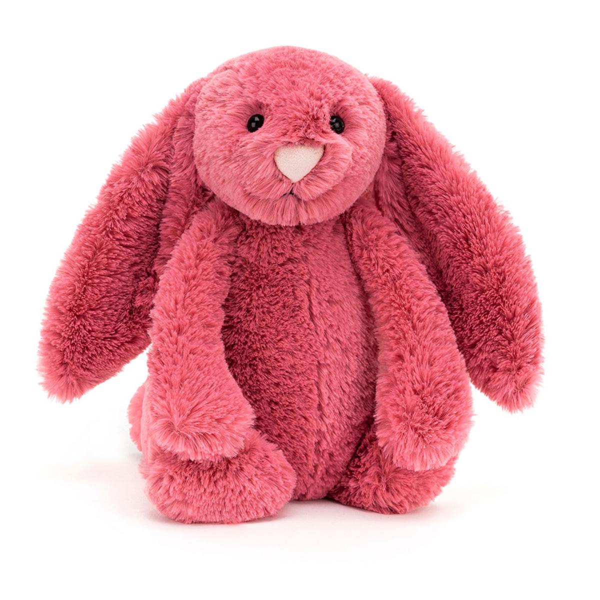 Pets | Bashful Cerise Bunny Animals Bunnies