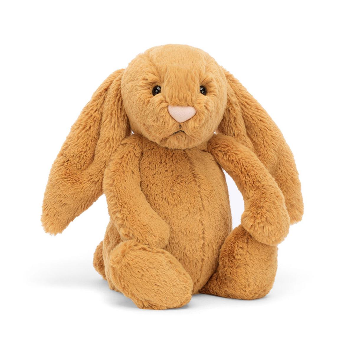 Pets | Bashful Golden Bunny Animals Bunnies