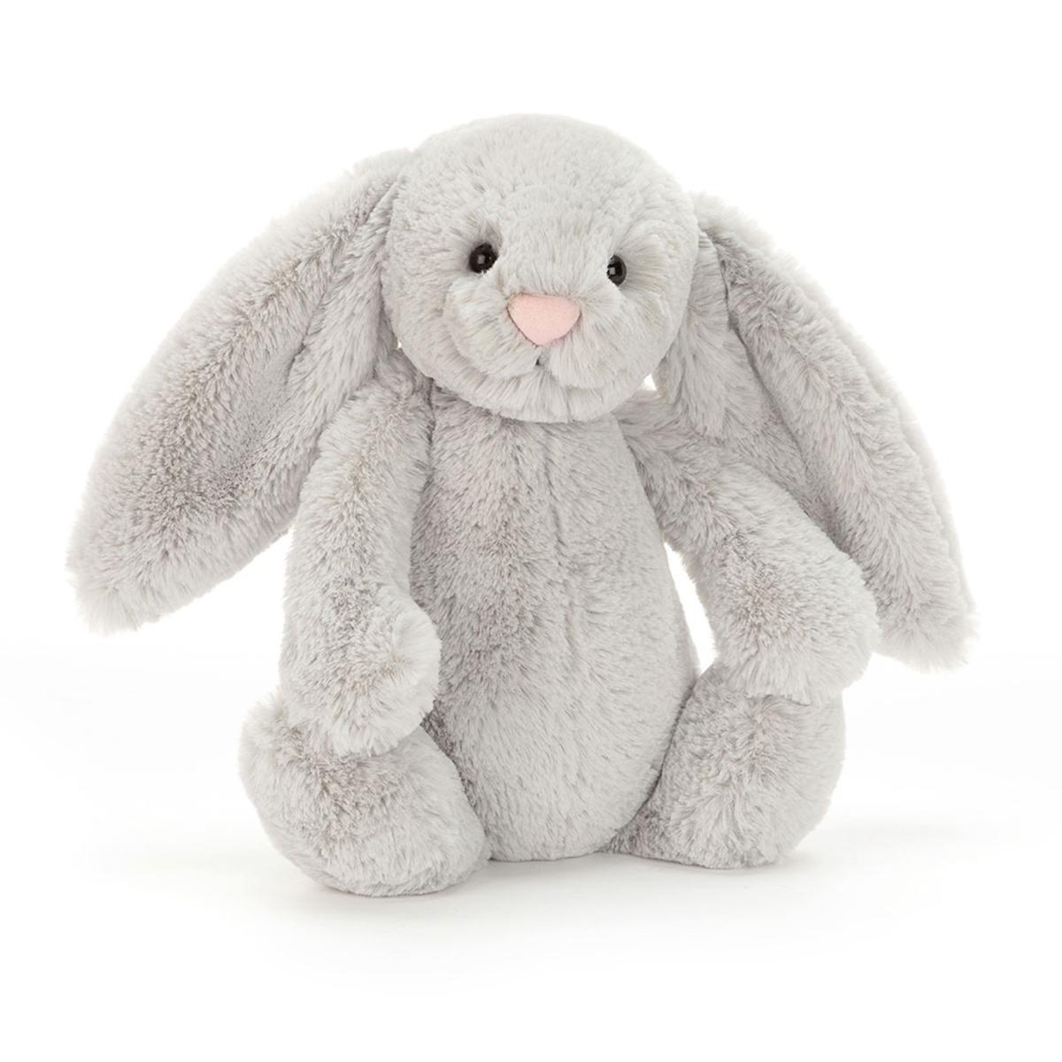 Pets | Bashful Silver Bunny Animals Bunnies