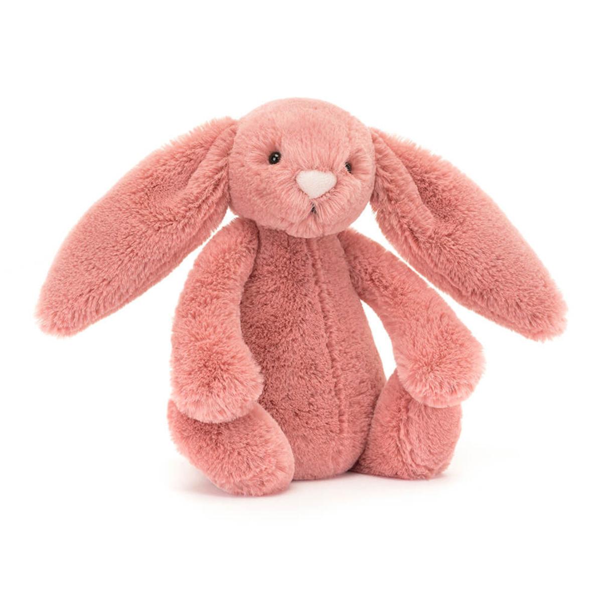 Pets | Bashful Sorrel Bunny Animals Bunnies