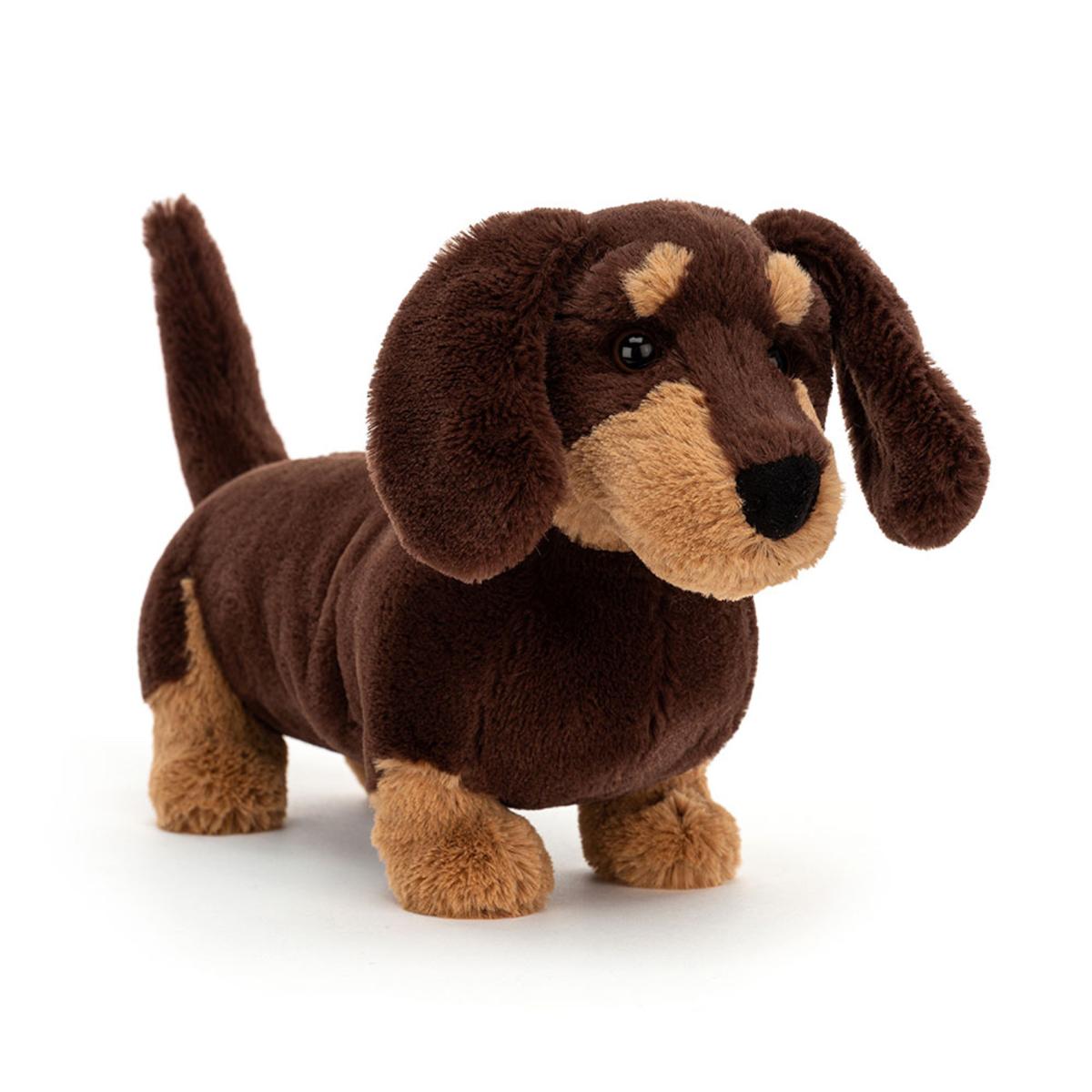 Pets | Otto Sausage Dog Animals Dogs & Puppies