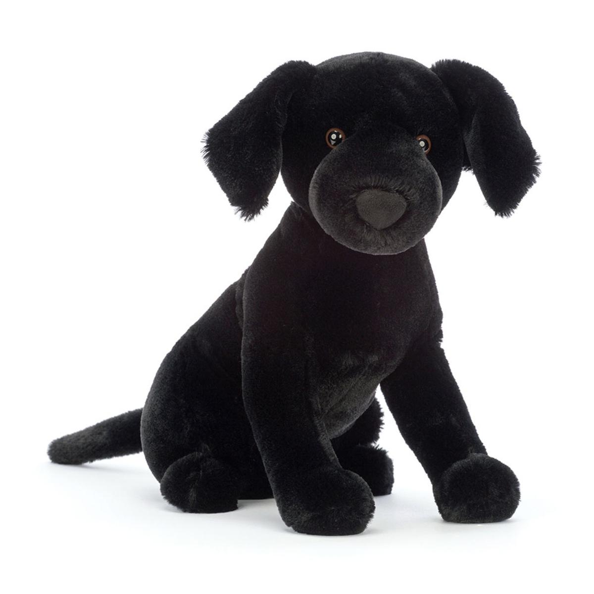 Pets | Pippa Black Labrador Animals Dogs & Puppies