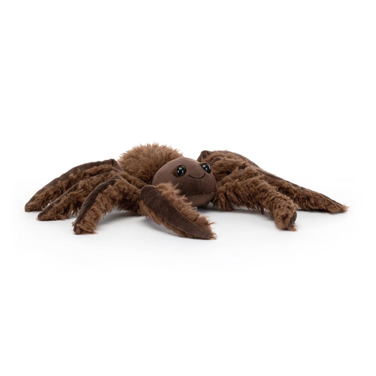 Bugs & Insects | Spindleshanks Spider Animals Bugs & Insects