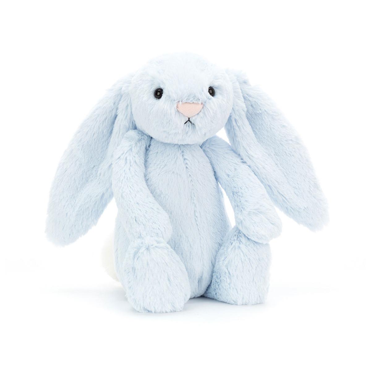 Pets | Bashful Blue Bunny Animals Bunnies