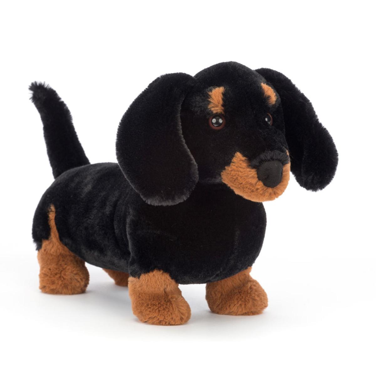 Pets | Freddie Sausage Dog Animals Dogs & Puppies